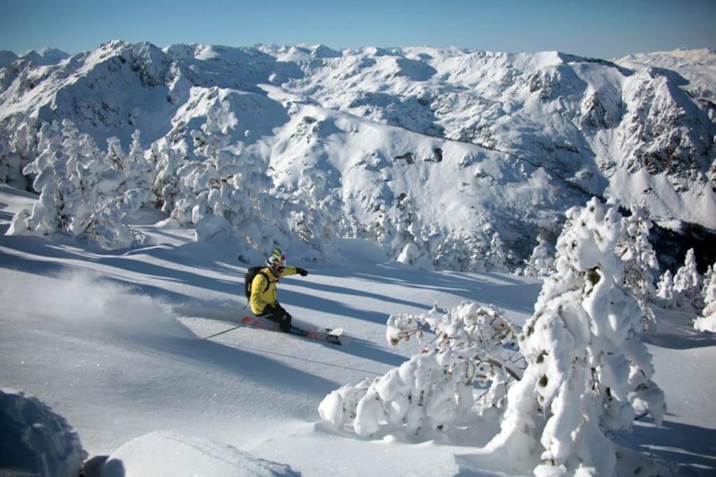 Grand Studio A La Montagne Ax-les-Thermes Zewnętrze zdjęcie